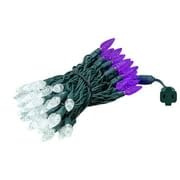 Novelty Lights 24Ft 70 Led C6 Commercial Grade Led String Lights Tree Decorations. Outdoor & Indoor Usage Permanent Christmas Lights. Pure White & Purple