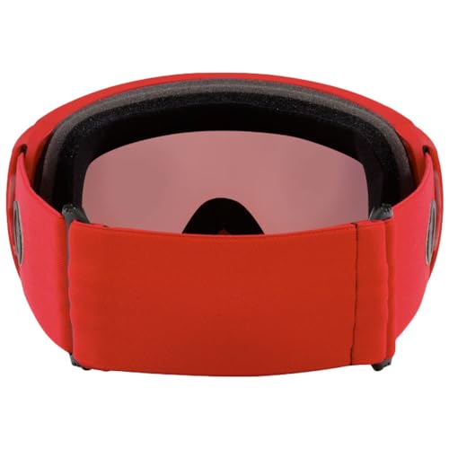 Oakley Flight Path Goggles