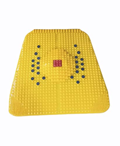 CHOUDHARY ACUPRESSURE Magnetic Pyramidal Therapy for Stress and Pain Relief, Blood Circulatio Heel/Knee/Leg Pain Deluxe Fo...