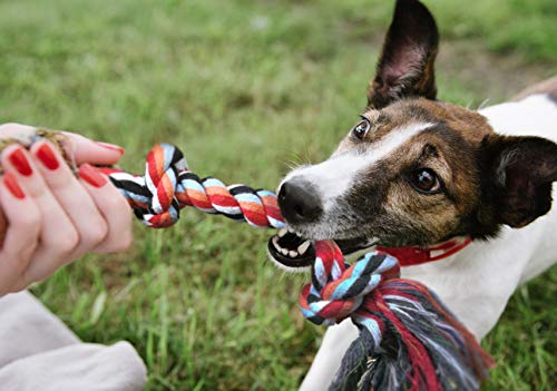 Fida Dog Rope Toys 4 Pack, Puppy Teething Sturdy Cotton Chew Tug Ropes Indoor/Outdoor, Exercise Interactive Tug O'War Toys...