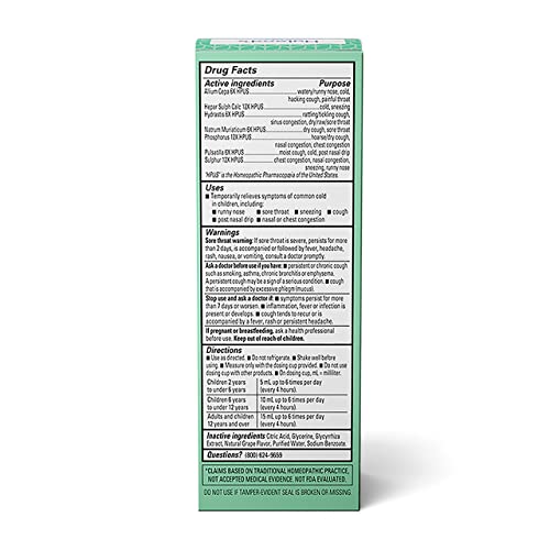 Hyland's Naturals Kids Cold & Cough, Daytime Grape Flavor Cough Syrup Medicine for Kids Ages 2+, Decongestant, Sore Throat & Allergy Relief, Natural Treatment for Common Cold Symptoms, 4 Fl Oz