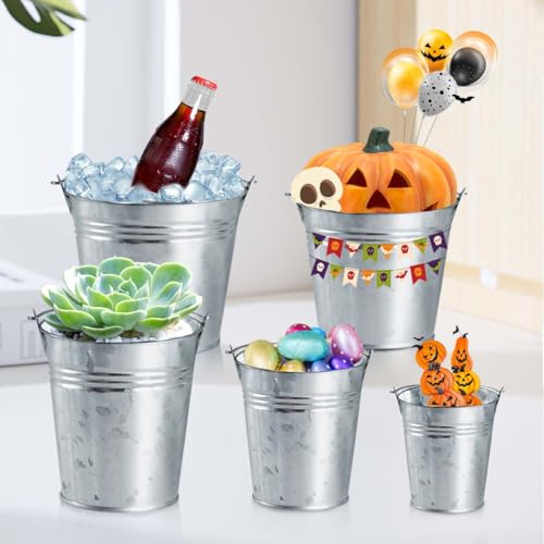 OBTANIM 8 Pack Galvanized Metal Buckets with Handle Ice Pails for Plants, Succulents, Party Favors Organizing, Rustic Home...