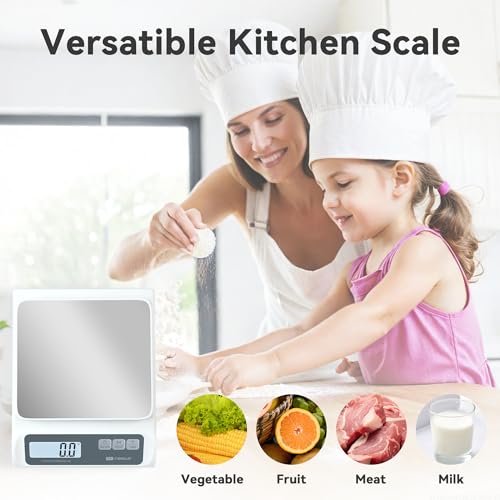 CYBERGIANT 13lb/0.1g Precision Digital Food Scale - Meal Prep Kitchen Baking & Espresso Coffee - Gram Scale with Stainless...