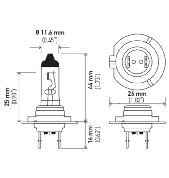 Hella H7 Halogen Bulb - 12V 55W, Glass, Multi, 1 Count (Pack Of 1)