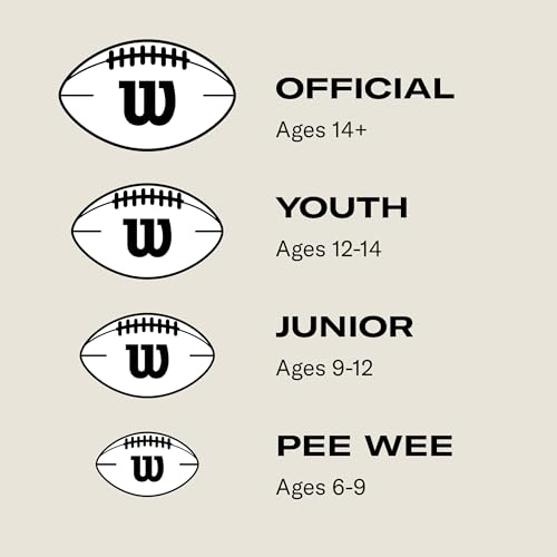 Wilson NFL Recreational Footballs