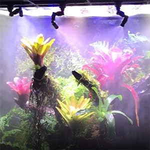 Reptile Mister Nozzles - T Double Misting Assembly, 1/4'' Misting Nozzles for Terrarium, Paludarium, Vivarium, Plants, Amphibians, and Reptile Tanks