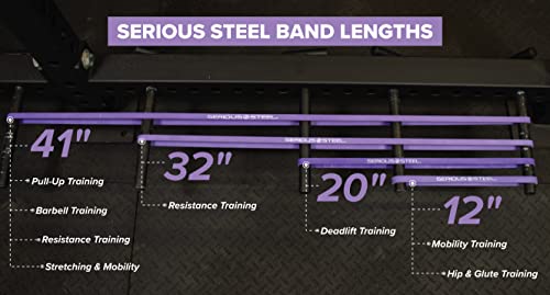 Serious Steel Fitness 32" Resistance Training Bands (Portable Exercise Band System Training Bands- Great for Individuals U...
