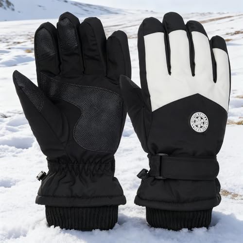 OVOY Men Ski Winter Snow Gloves - Thick Windproof, Cold Weather, Touch-Screen Finger for Skiing Riding