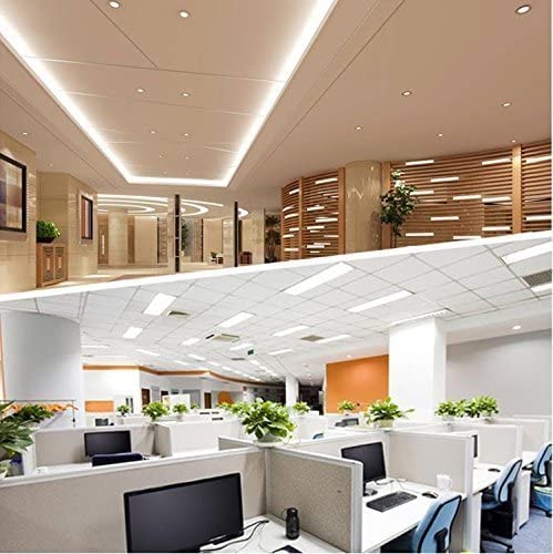 Lightingwill Led T8 Light Tube 2Ft Warm White 3000K-3500K Dual-End Powered Ballast Bypass 1000Lumens 10W 4W Fluorescent Equivalent Frosted Cover Ac85-265V Lighting Tube Fixtures 1 Pack