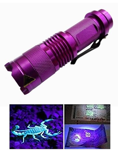 Wayllshine Uv Flashlight - 395Nm High Power Led, 3 Modes, 10 Yard Range, Aluminum, Blacklight For Pet Urine & Stain Detection