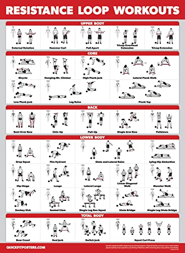 Palace Learning 4 Pack - Resistance Bands Workout Exercise Posters Volume 1, 2 & 3 + Resistance Loops Fitness Chart (LAMIN...