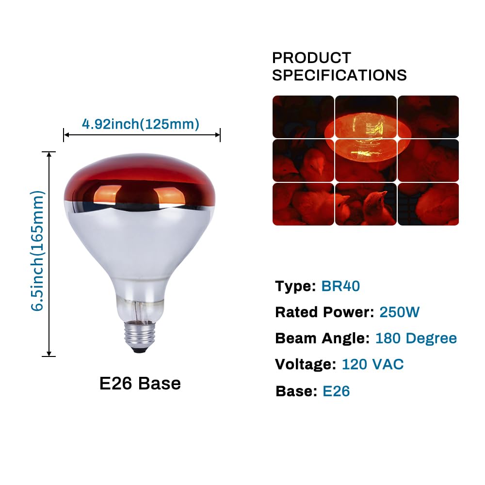 Wesome Lighting 250 Watt Heat Lamp Bulbs for Chicks, R40 Brooder Heat Lamp for Chickens, Infrared Reflector Heat Bulbs for Brooder Heater, Incandescent Spotlight for Pet, Bathroom, Food (2 Pack)