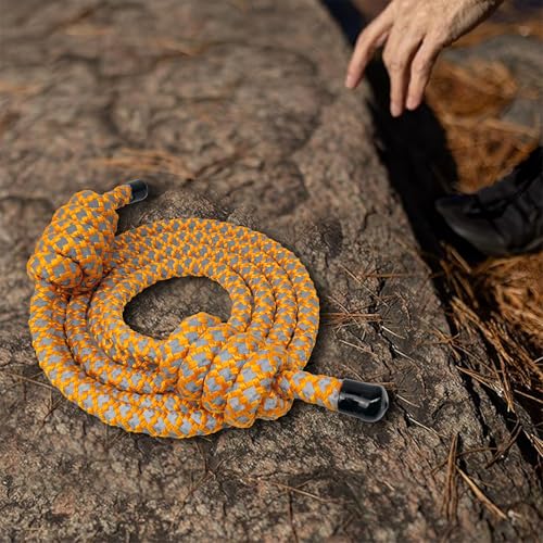 Heavy Weighted Jump Rope for Men and Women, Professional Flow Rope for Fitness, CrossFit, HIIT, Boxing, Night Glow Workout...