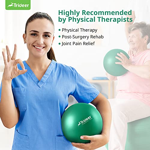 Trideer Stretching Strap and 9 Inch Mini Exercise Ball Bundle – Yoga Strap with 10 Loops and Pilates Ball for Physical The...