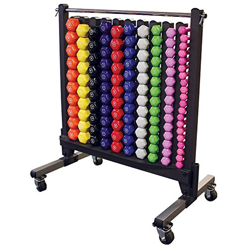Body-Solid (GDR500-PACK) Dumbbell Rack Set with 50 Pairs of Vinyl Dumbbells, Commercial Weight Rack Holder for Home Gym, S...