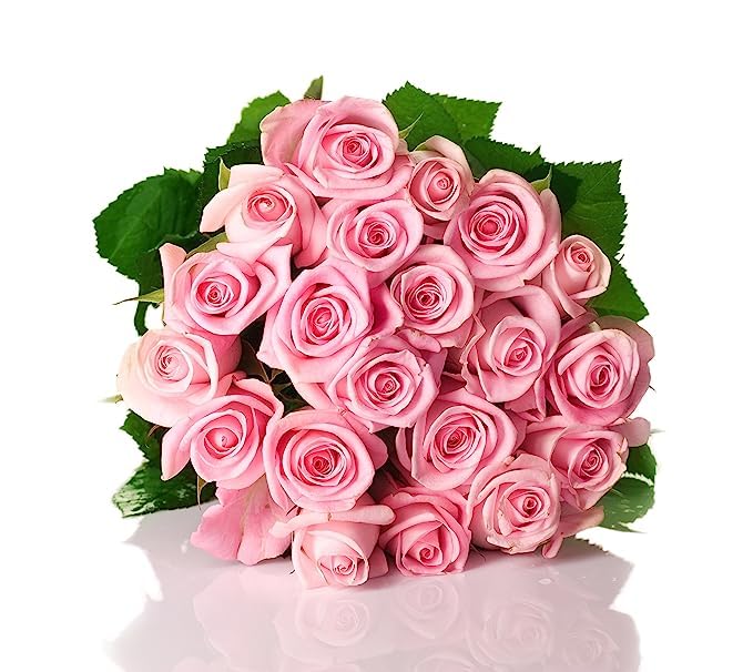 KaBloom Flowers - 50 Pink Roses - Gift for Birthday Sympathy Anniversary Get Well Thank You Valentine Mothers Day Fresh Flowers
