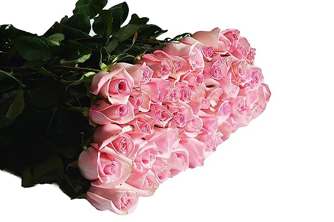 KaBloom Flowers - 100 Pink Roses - Gift for Birthday Sympathy Anniversary Get Well Thank You Valentine Mothers Day Fresh Flowers