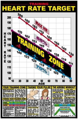 Heart Rate Chart 24" X 36" Laminated Chart
