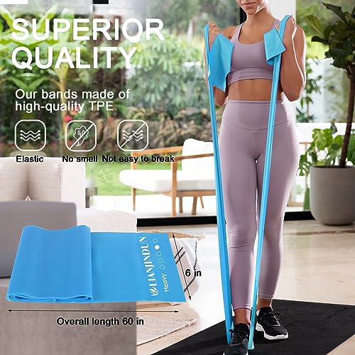 Professional Resistance Bands. Latex-Free, Work Out Bands, Stretch Bands for Working Out Women or Men, Exercise Bands Set ...