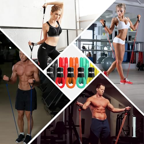 AlpinexFit Resistance Bands for Working Out,150LBS Exercise Bands with Handles,Workout Bands for Men Women, Fitness Bands ...