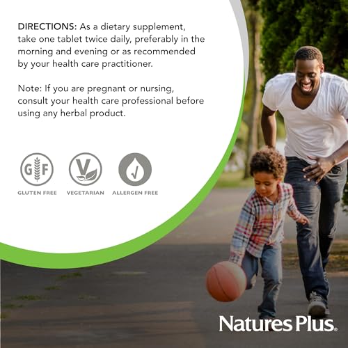 NaturesPlus Herbal Actives St John's Wort, Extended Release - 60 Tablets - Non-GMO, Vegetarian, Gluten Free - 60 Servings