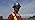 Sellstrom Odyssey II Wildland Fire Safety Goggles - Anti-Fog, Anti-Scratch Eye Protection Goggles for Men & Women - FR Str...