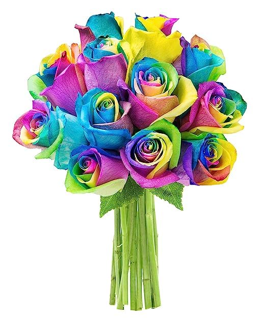 KaBloom PRIME NEXT DAY DELIVERY - Fall Collection - Beautiful Rainbow Rose Bouquet - 12 Roses and Greens. Gift for Birthday Sympathy Anniversary Thank You Valentine Mothers Day Fresh Flowers