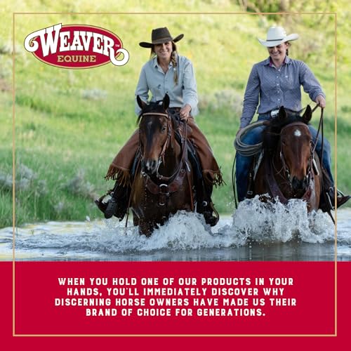 Weaver Equine Performance Lead Rope, Long Horse Lead Rope with Quick Halter Attachment, Soft Comfort Grip, Barn Horse Tack...