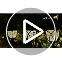 GIGALUMI Solar Lights Outdoor Waterproof, 6 Pack LED Solar Garden Lights, Outdoor Decorations, Garden Decor for Yard, Pati...