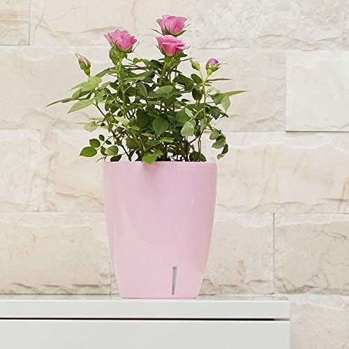 Santino 4.9 Inch ORCHIDEA Self Watering Pots for Orchids in Anthracite (Set of 3) - Decorative Wicking Planter with w/Great Aerification, Drainage and Water Level Indicator