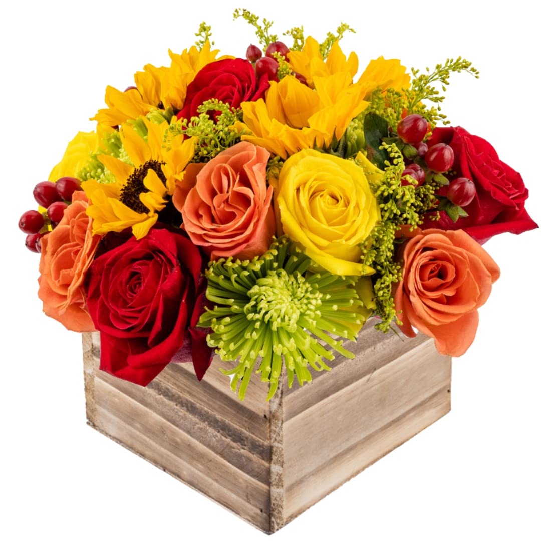 Warm Glow in Wooden Vase | Yellow Orange and Red Fresh Flower Foam Arrangement | Arabella Bouquets | Flowers for Delivery THanksgiving Birthday Congratulations