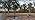 YuLuoXiang 13Ft Tall Street Light Pole for Outside, Galvanized Steel Solar Street Lamp Post Perfect for Outdoor Lights Ext...