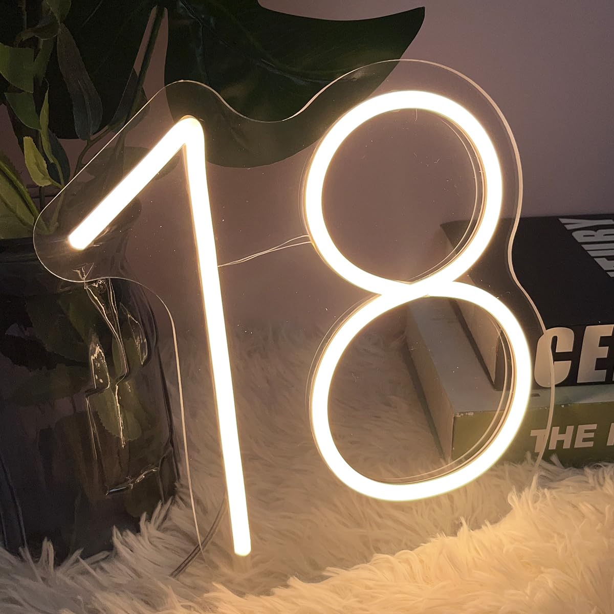 18 Year Old Neon Sign For First Birthday Party Neon Sign Custom Light Up Sign Indoor Bedroom Home Decor Led Neon Signs Large Backdrop Flex Christmas Living Room Girls Boys Gift Warm White 25?24.8 Cm