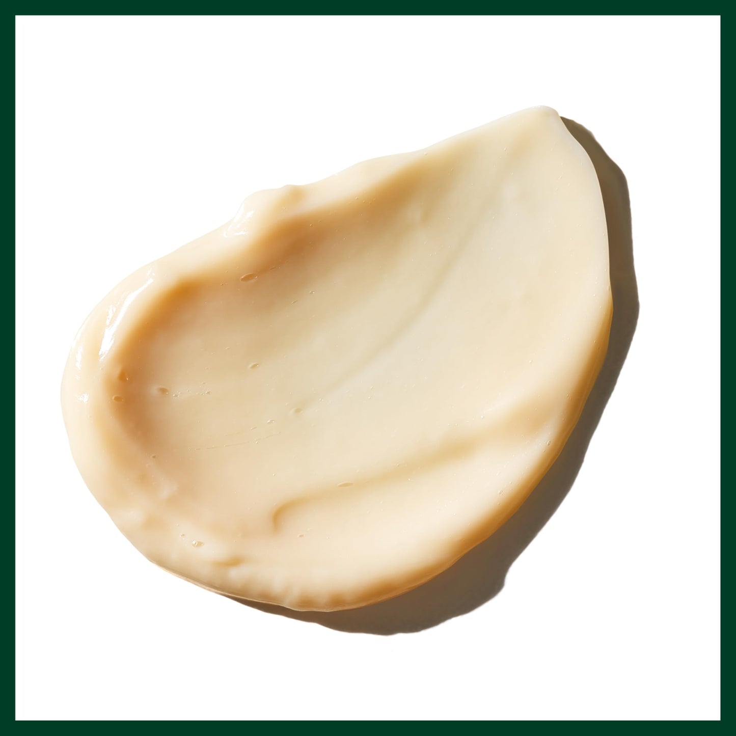 Aveda Sap Moss Weightless Hydration Conditioner | Hydrates, Detangles, Fights Frizz | Silicone Free | Conditioner for Normal to