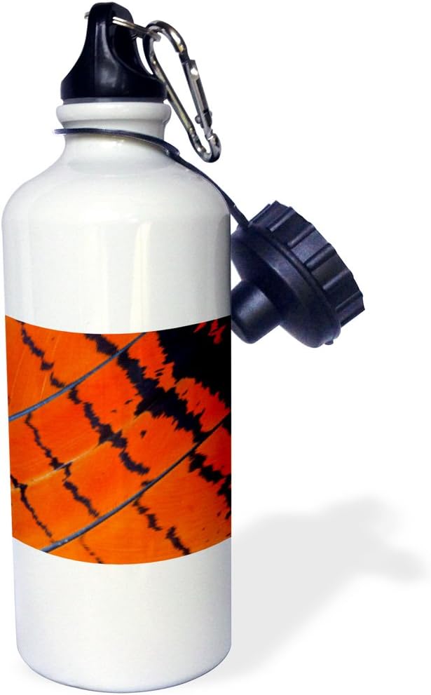 3dRose Jenday Conure Wing Feather Detail Water Bottle