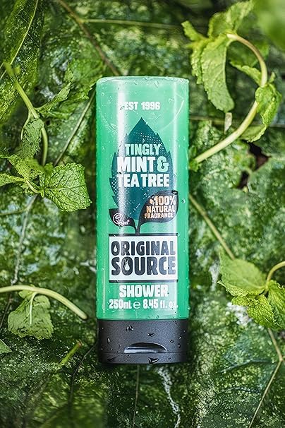 Original Source Tea Tree & Mint Shower Gel 250ml - (Pack of 6)