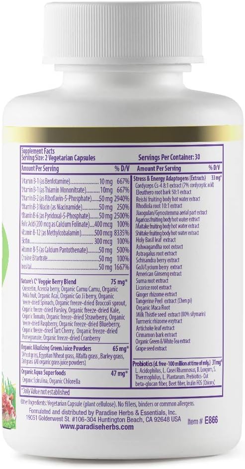 Paradise Herbs Earth's Blend Once Daily Multi for Men & B-Complex Bundle