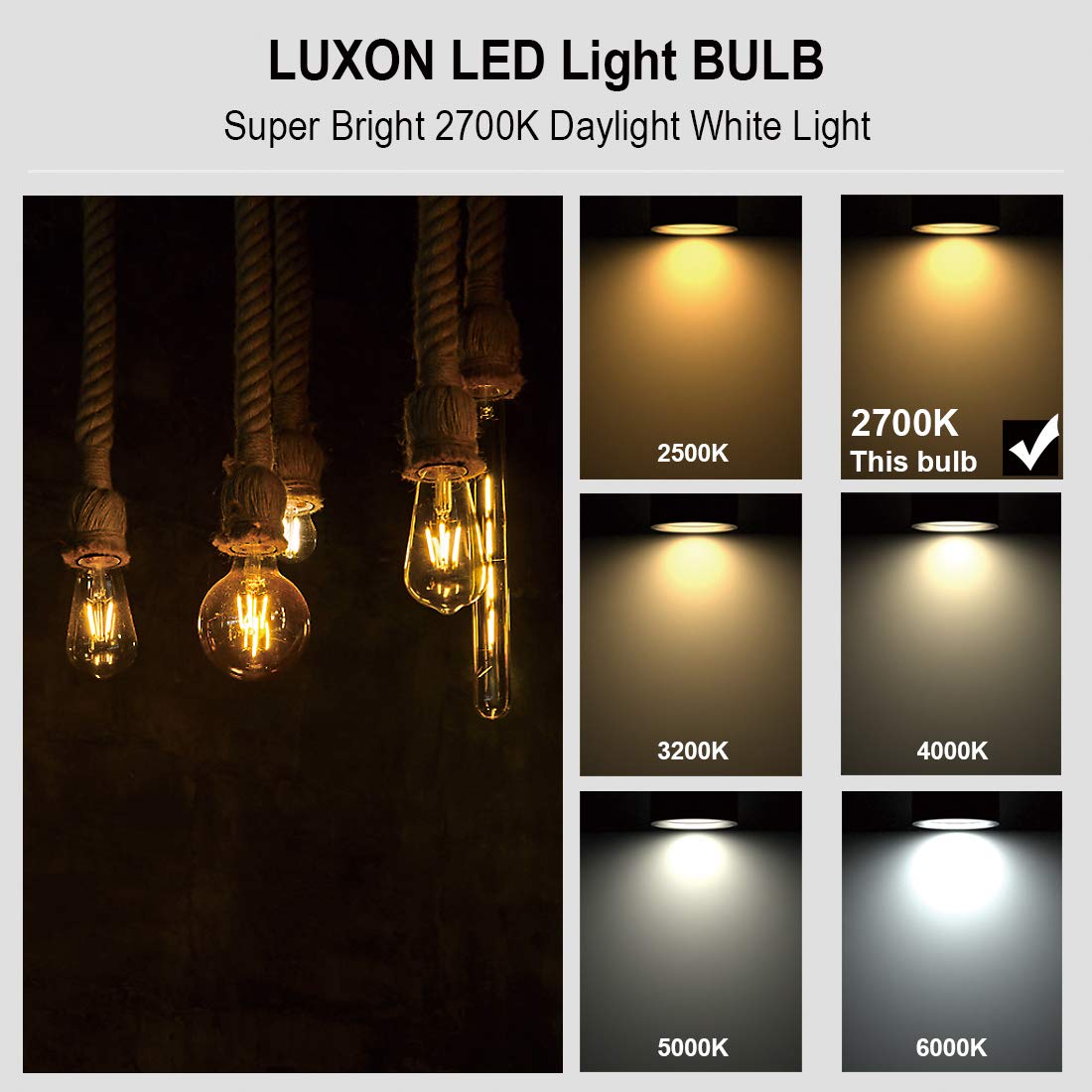 Luxon Dimmable Led Edison Bulb, 4W (40W Equivalent), 2700K Warm White, Amber Glass, E26 Base, 8-Pack