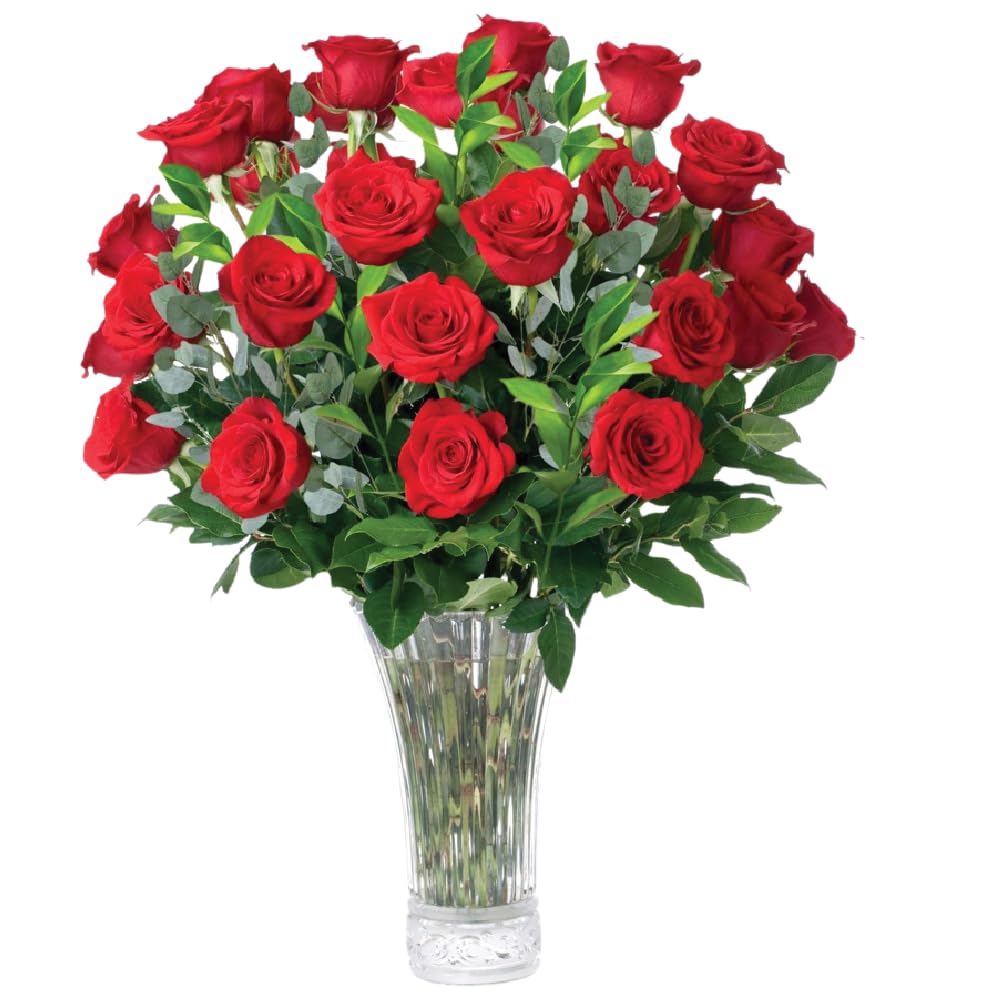 Aquarossa Farms - 24 Red Roses Fresh Flowers for Delivery Flowers Fresh Bouquet Gift Idea for Graduation Birthday Anniversary and Special Occasions