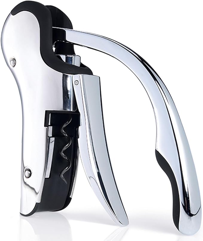Stainless Steel Wine Opener Set - Compact Vertical Corkscrew Wine Bottle Opener Gift Set with Foil Cutter, Aerator Pourer, Vacuum Pump and 2 Wine Stoppers, Wine Gift Set for Home Party Bar