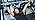 YUNYILAN 2 Pack Wrist Brace Adjustable Wrist Support Wrist Straps for Fitness Weightlifting, Tendonitis, Carpal Tunnel Art...