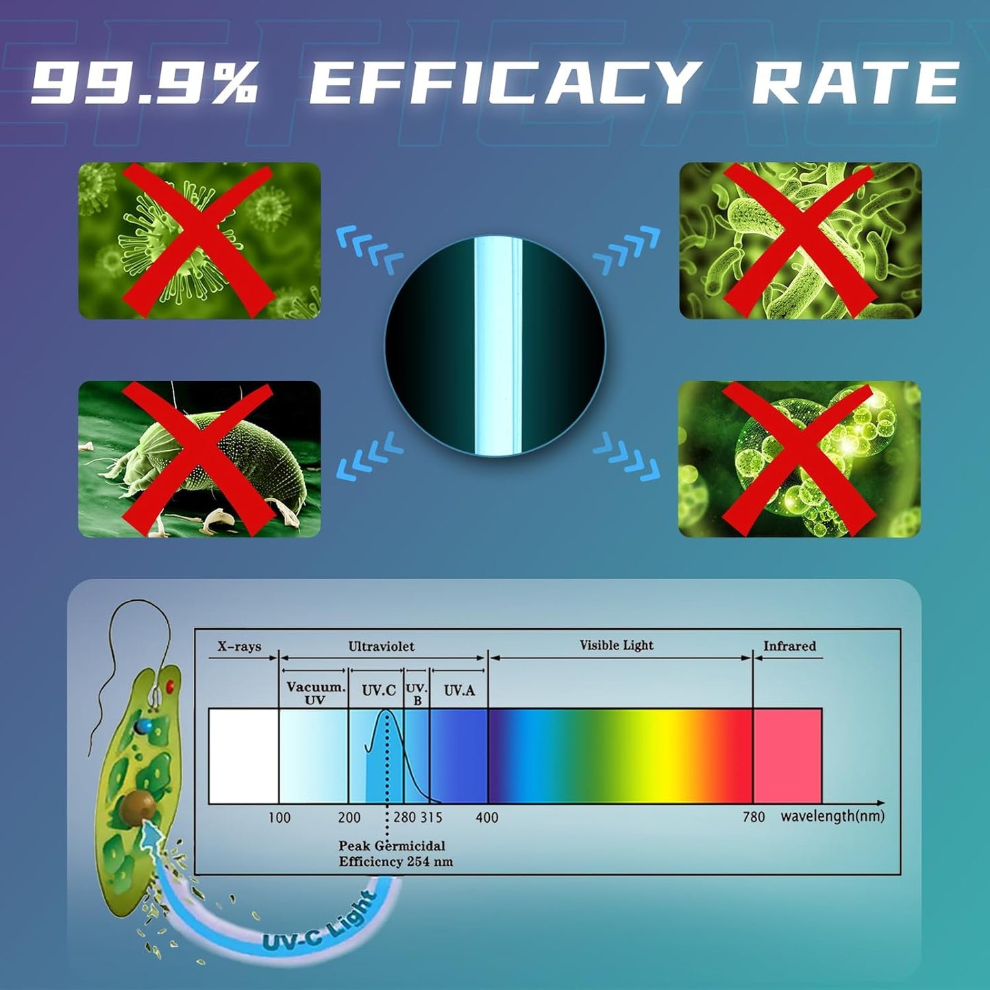 55W UV Light for Above Groud Pool Cold Plunge Aquarium Algae Control with UVC Bulb Stainless Steel Ultraviolet Green Water Machine Algae Remover for Pond