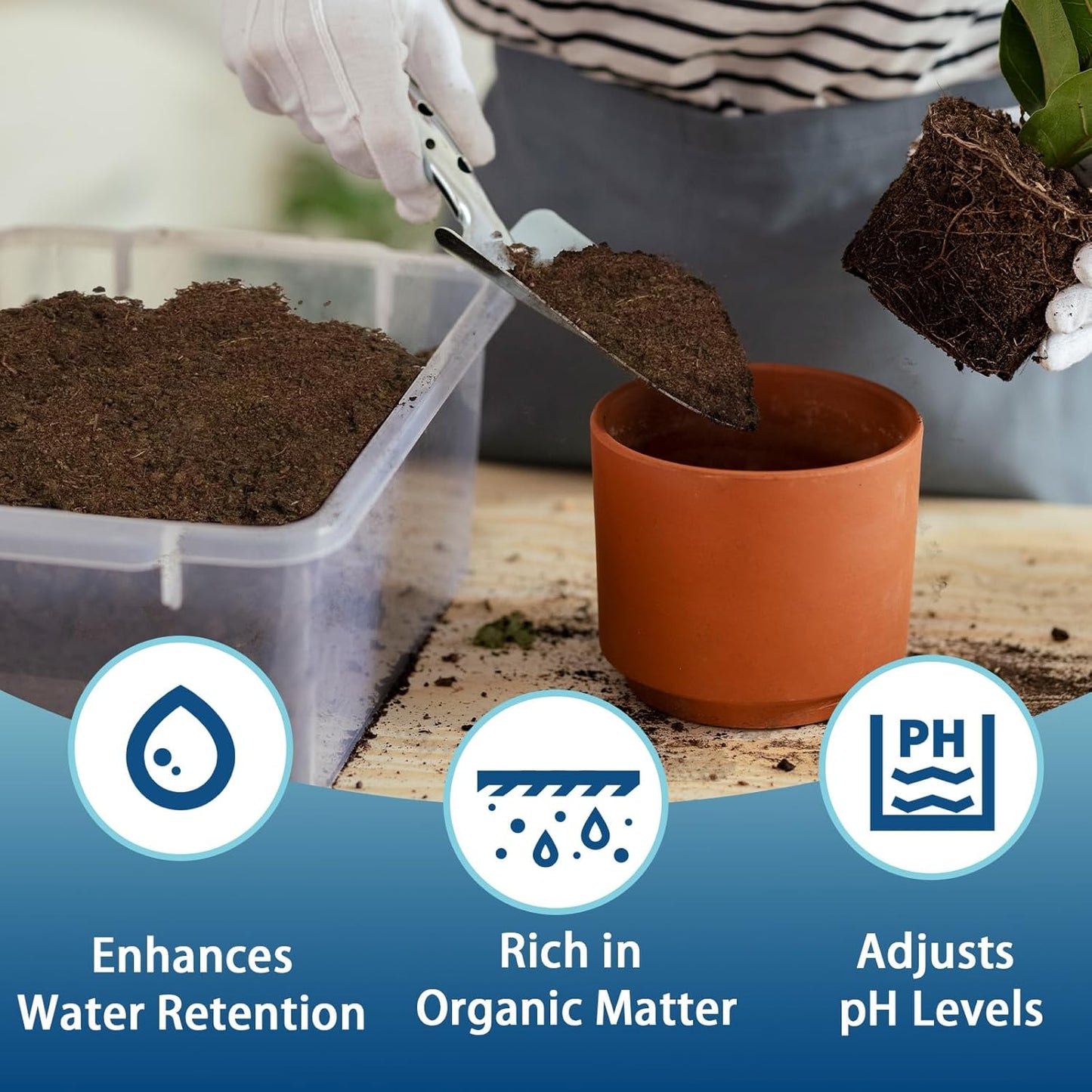Sphagnum Peat Moss for Plants 4qt, Organic Garden Growing Soil Amendment and Media for Flowers, Vegetables, Herbs, Orchid, Indoor Houseplant