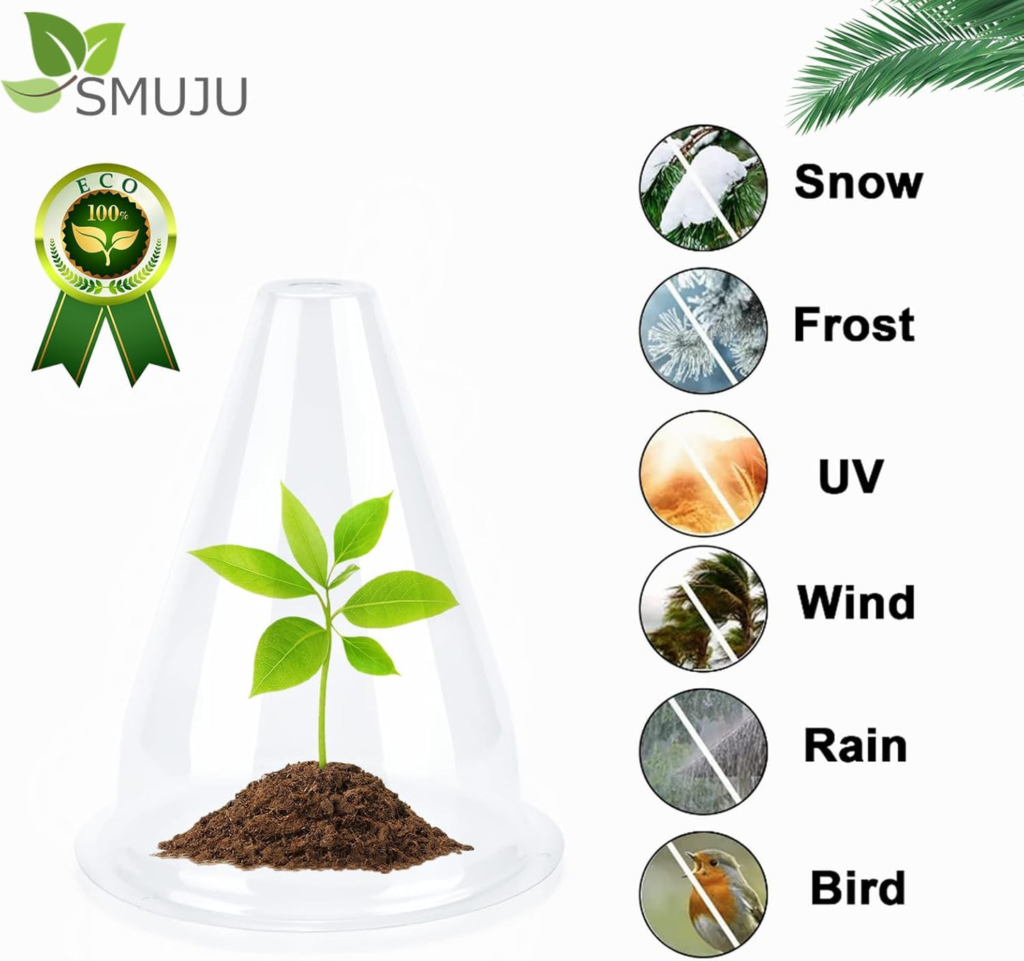 【12 Pieces】 Garden Cloches for Plants, Plant Covers Plant Protectors Transparent Bell Jar Cloches to Protect Plants from Birds, Slugs, Frost, Freeze Weather, 7.8" D x 9.4" H, Transparent