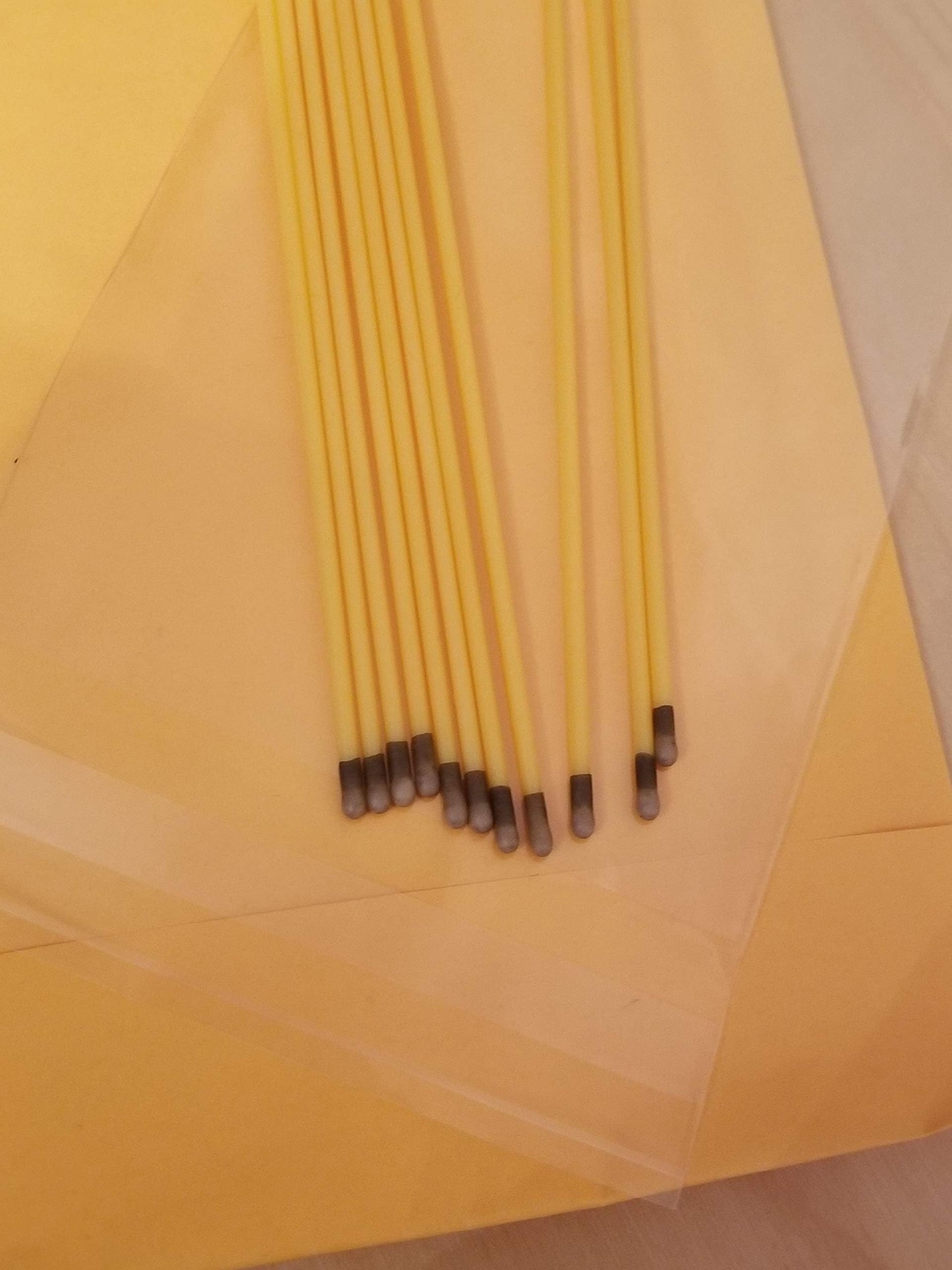 Silver Nitrate Caustic Sticks 6" 10/ps