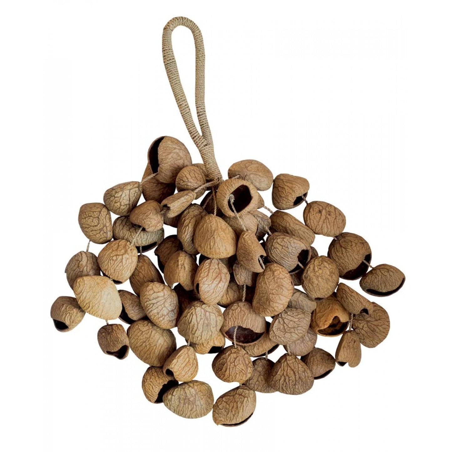 Hand Shaker Xxl (Juju Chacha Pangi Pala) Hand Bell Percussion Accessories (Pangi)