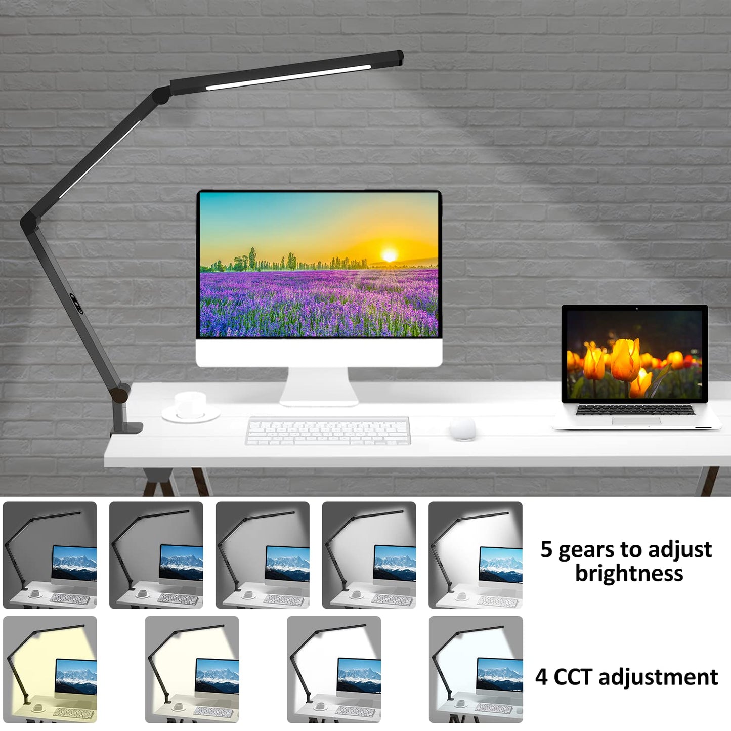 Micomlan LED Desk Lamp - Black, Adjustable Swing Arm, 4 CCT Modes, 5 Brightness Levels, Clip-on Eye-Care Light for Home Office