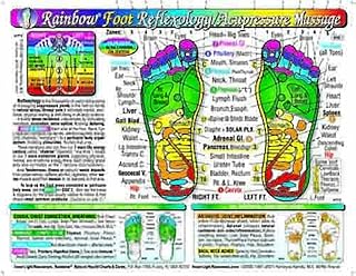 Rainbow® FOOT Reflexology/ Acupressure Massage CHART in the Inner Light Resources Rainbow® Cards & Charts Series. 8.5 x 11...