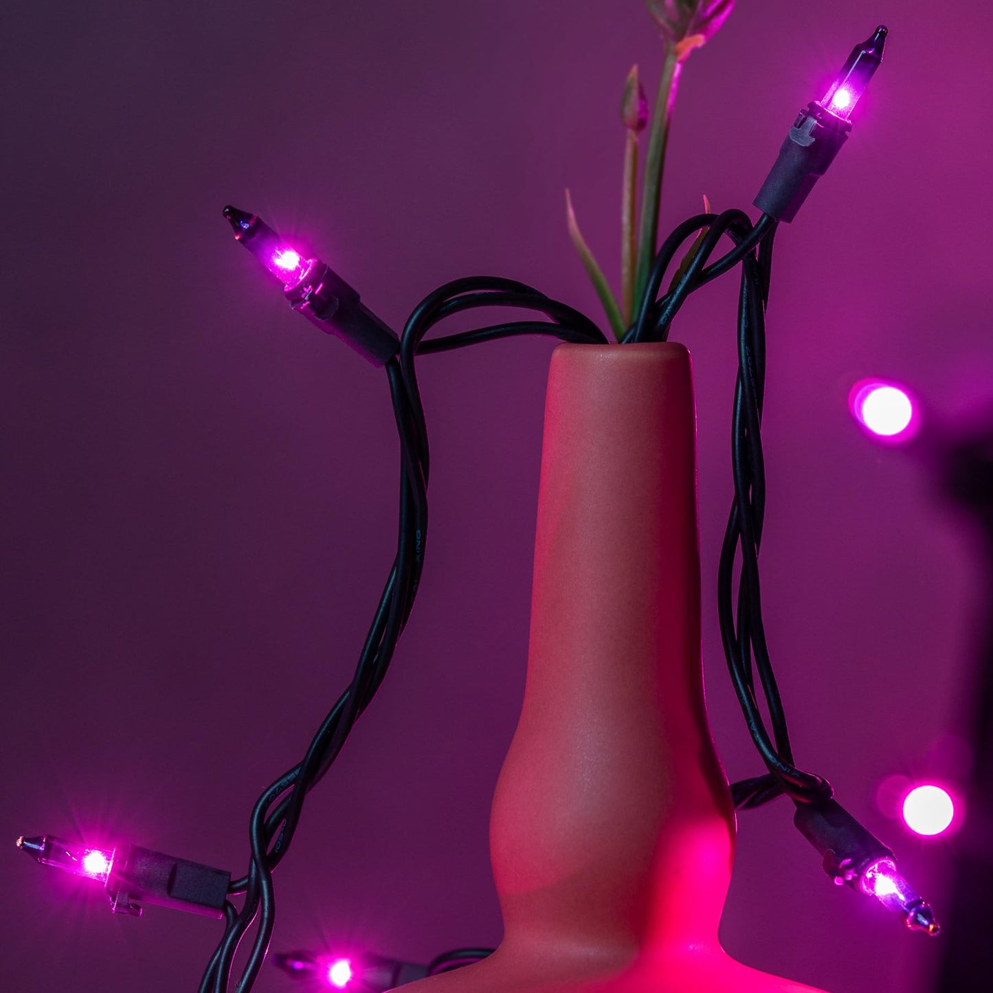 YULETIME Purple String Lights, 33 Ft, 100 Count, UL Certified, Pack of 2 Strands, Black Wire