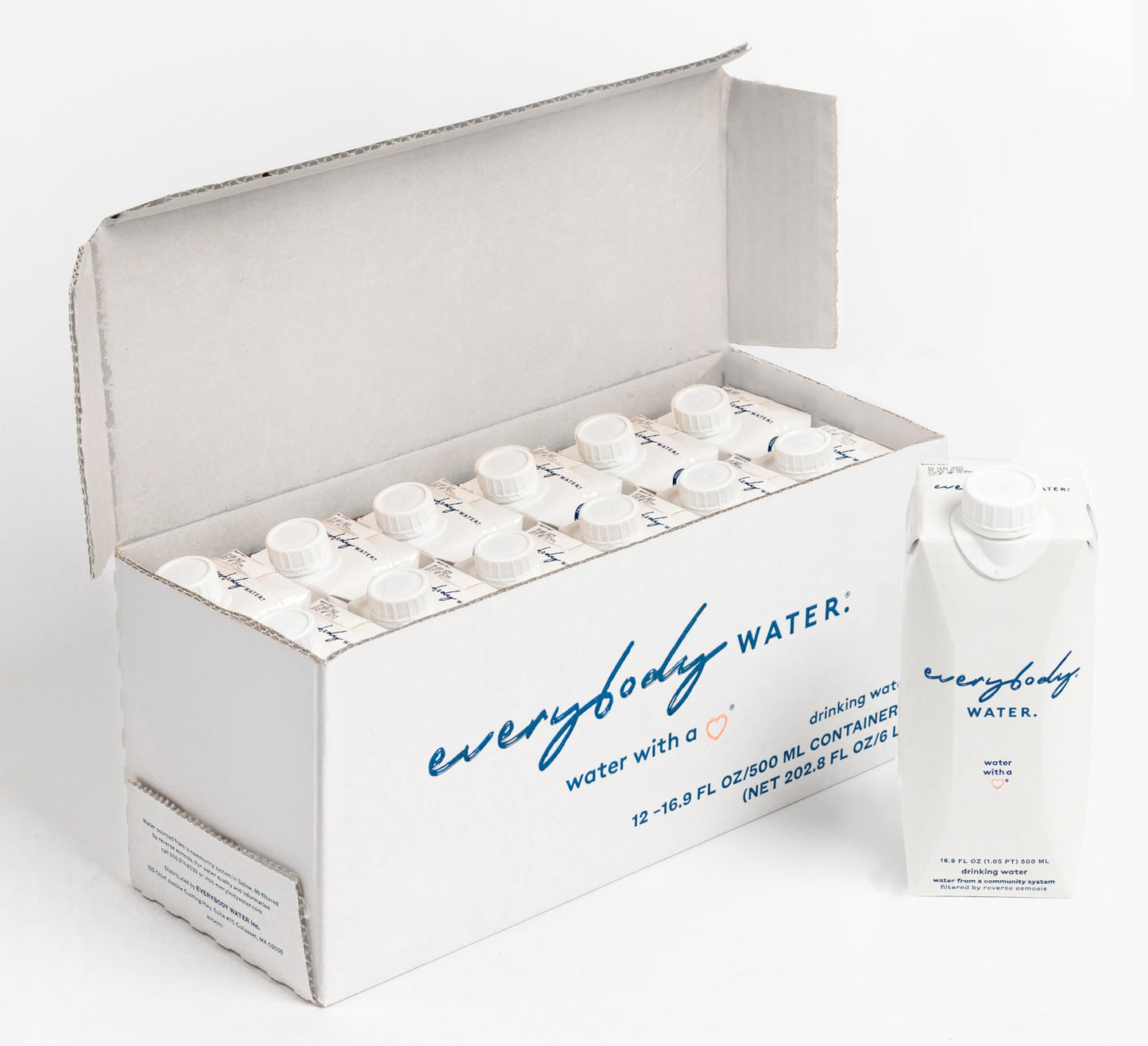 Everybody Water Boxed Water enhanced Filtered Still Waters 12 Pack Reverse Osmosis Bulk Eco-Friendly BPA Free Fully Recyclable Plant Based Carton - Certified Woman Owned 16.9 Fl Oz / 500ml Carton (Pack of 12)
